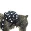 Mochila para perros pequeños MOCHILA LUNARES NEGRA, , large indicador imagen numero 4