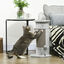 PawHut Poste Rascador para Gatos 58 cm Rascador para Gatos Arañador para Gatos con Poste de Sisal y Bolas Colgantes 34x25,5x58 cm Gris, , large indicador imagen numero 2