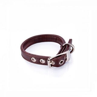 Collar de cuero vegano Pamppy especial Toy color Marrón