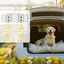PawHut Barrera Protectora de Coche para Perros con Anchura Ajustable Rejilla para Perros de Coche Plegable de Acero 93-150x42 cm Negro, , large indicador imagen numero 4