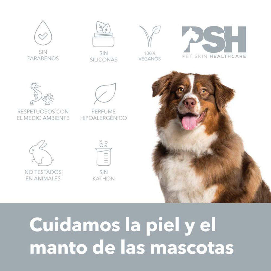 PSH Petbox Beauty Ritual Kit de Higiene para perros, , large Imagen numero 4