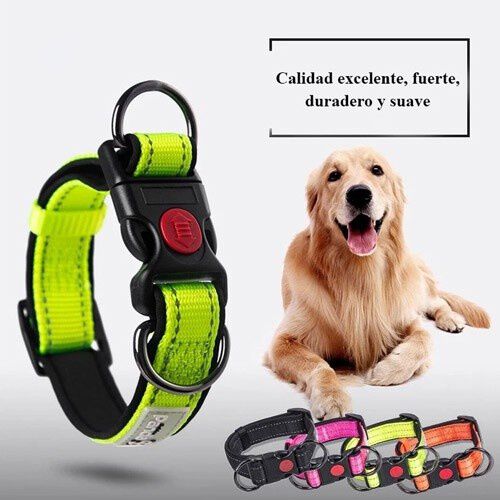 Collar MyPetCare para perro color Rojo thumbnail
