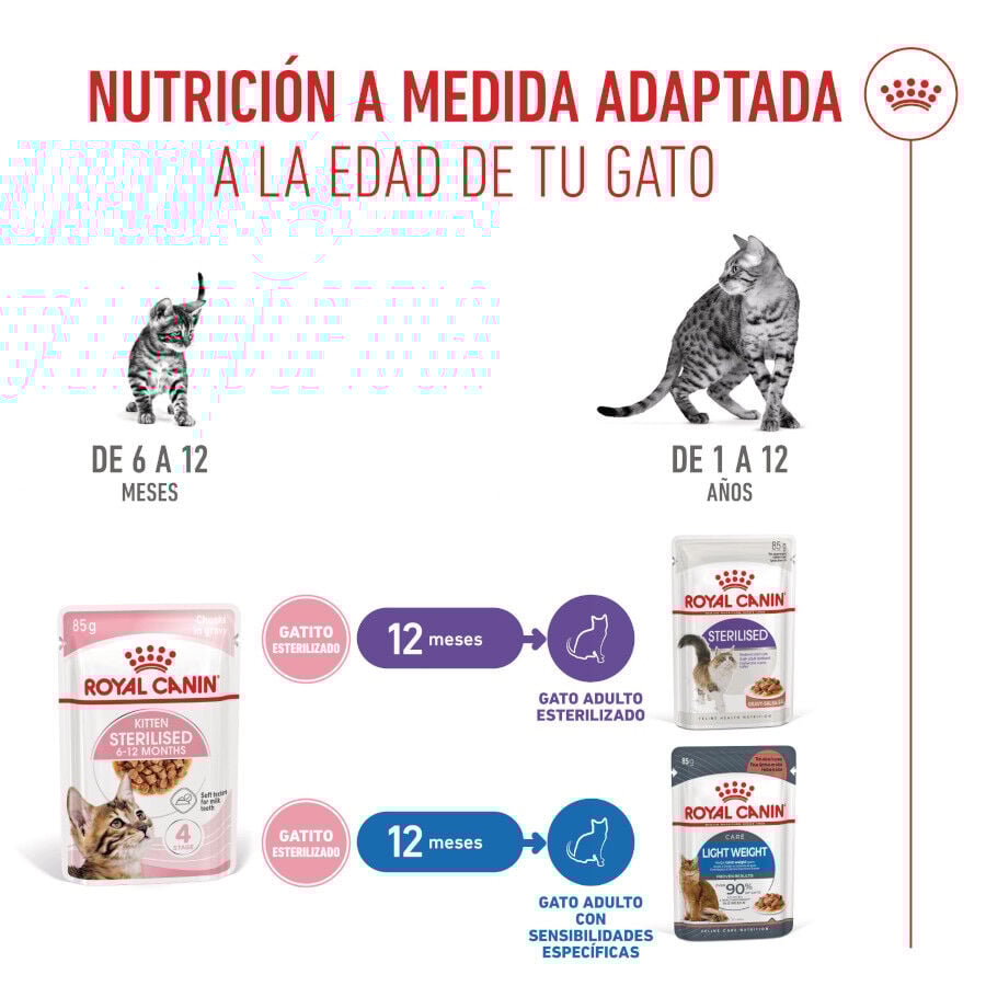Royal Canin Kitten Sterilised salsa sobre para gatos thumbnail