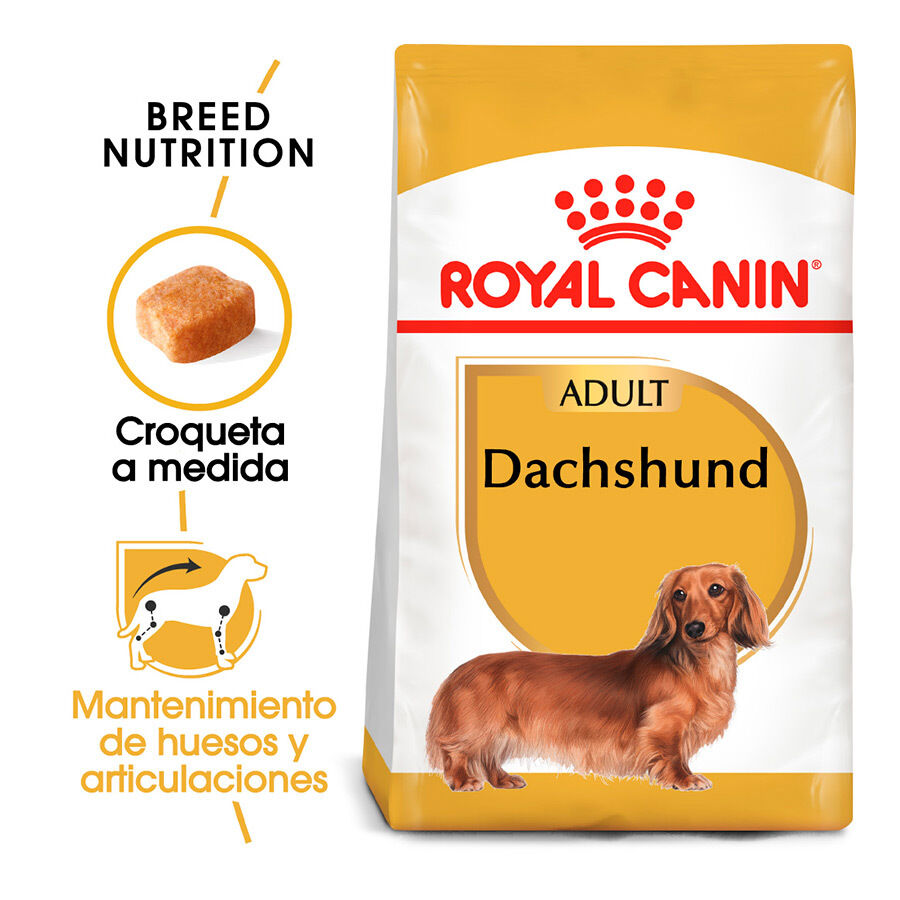 Royal Canin Adult Dachshund pienso para perros thumbnail