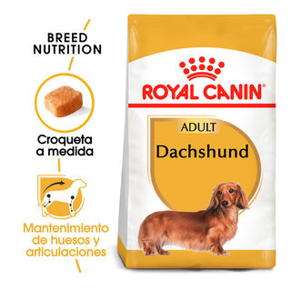 Royal Canin Adult Dachshund pienso para perros