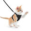 Nobleza Antiescape y Ajustable Arnés Gato con Correa de 150 cm, para Gatos pequeños medianos Grandes Mascotas Gatito Cachorro Conejo, con Banda Reflectante,M, , large indicador imagen numero 1