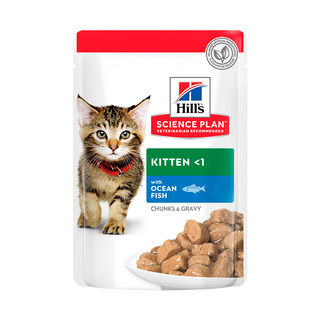 Hill's Science Plan Kitten Pescado Azul sobre para gatos