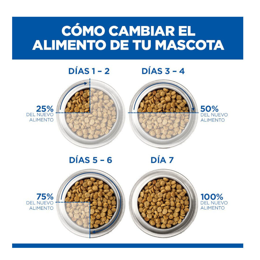 1.5 kg Hill's Science Plan Pienso Salm&oacute;n para gatitos, , large Imagen numero 11