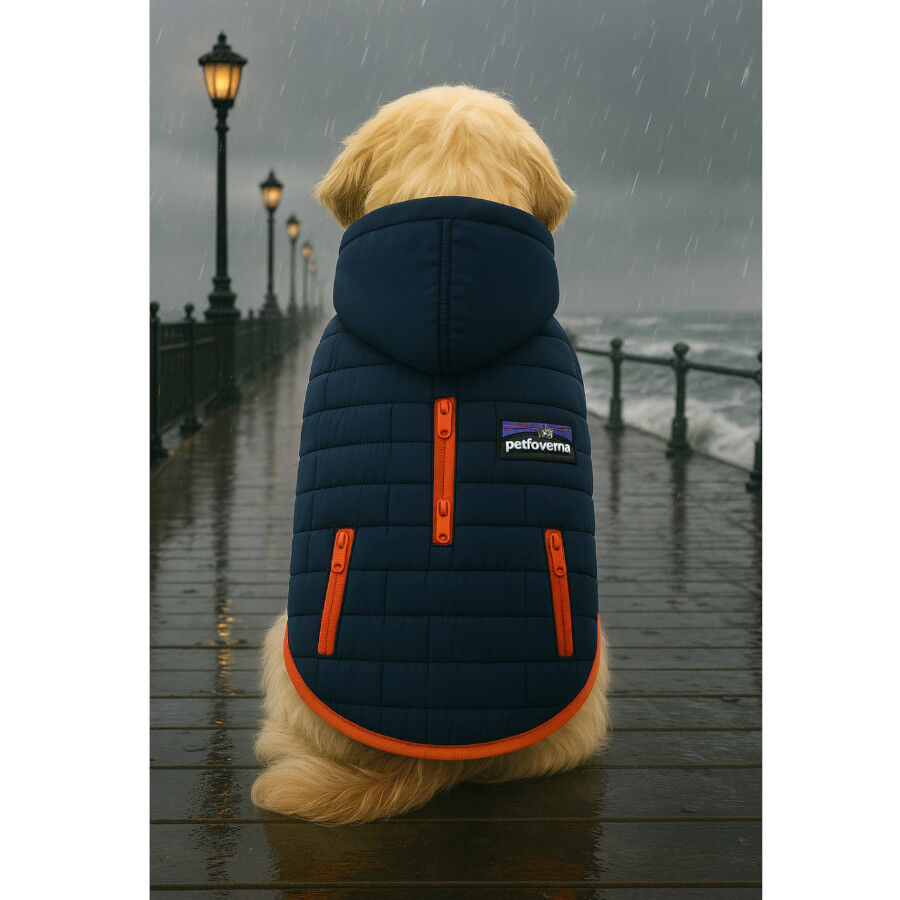 Outech Abrigo Impermeable Azul para perros, , large Imagen numero 3