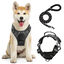 Arnés para perros con diseño ergonómico + Correa cómoda de EVA, , large indicador imagen numero 1