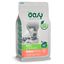 OASY GATO ADULT ESTERIL. SALMON 1.5 KG, , large indicador imagen numero 2