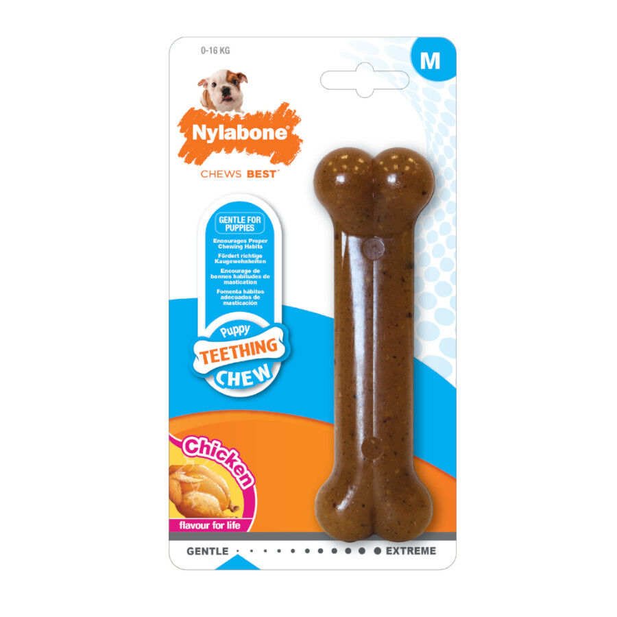 Nylabone Chew Pollo Hueso Mordedor para cachorros