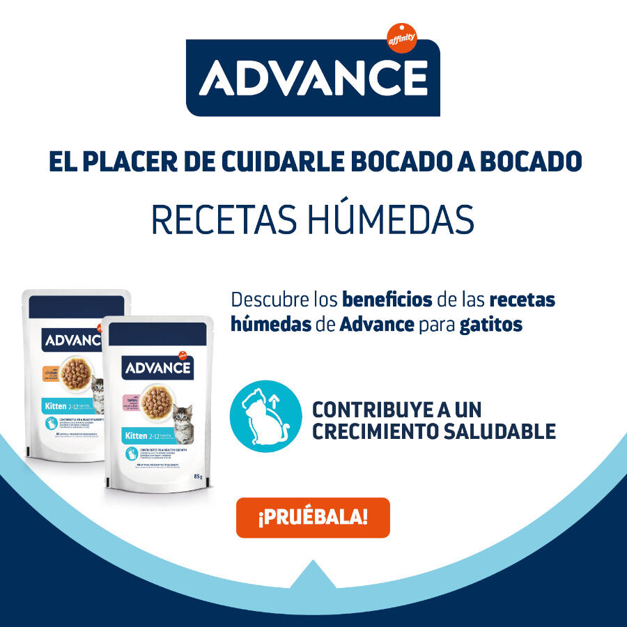 Advance Kitten Pavo en salsa sobre para gatitos thumbnail