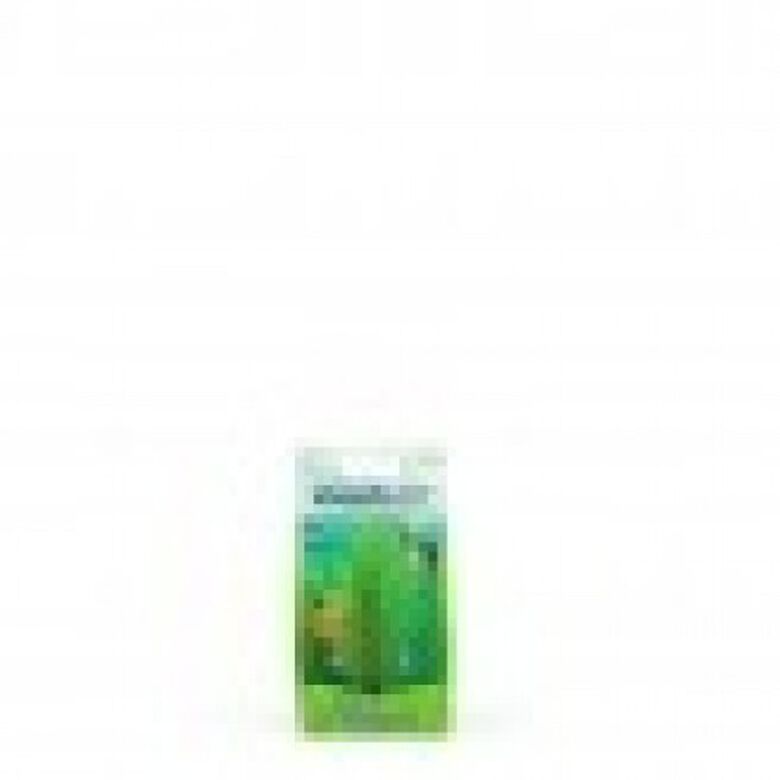 Planta artificial Valisneria 12,5 cm color Verde thumbnail