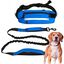 Edipets correa canicross reflectante manos libres con riñonera azul celeste para perros, , large indicador imagen numero 1