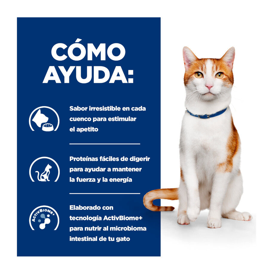 Hill&#039;s Prescription Diet Feline Estofado con Pollo y Verduras para Gatos Adultos thumbnail