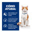 82 g Hill's Prescription Diet Feline Estofado con Pollo y Verduras para Gatos Adultos, , large indicador imagen numero 3