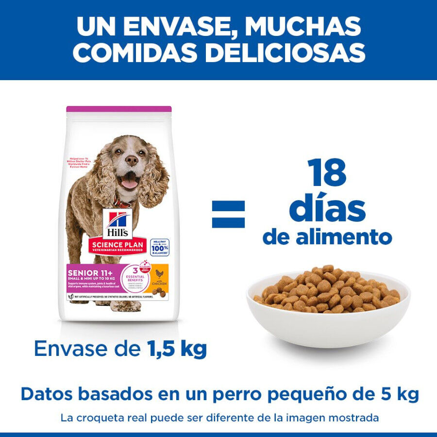 1.5 kg Hill's Science Plan Senior 11+ Small y Mini pollo pienso para perros, , large Imagen numero 6