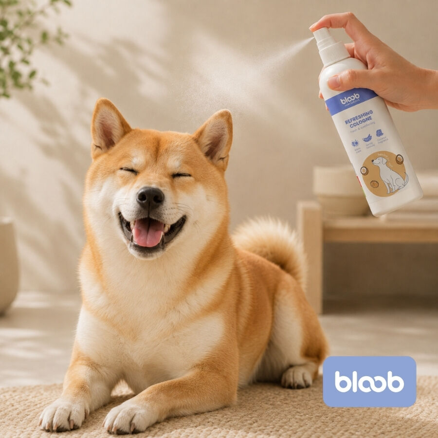 Bloob Colonia Refrescante Coco para perros, , large Imagen numero 2