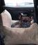 Pet and Co Asiento De Coche Harry Teddy Caqui - Perros, , large indicador imagen numero 3