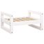 Cama Para Perros, , large indicador imagen numero 14
