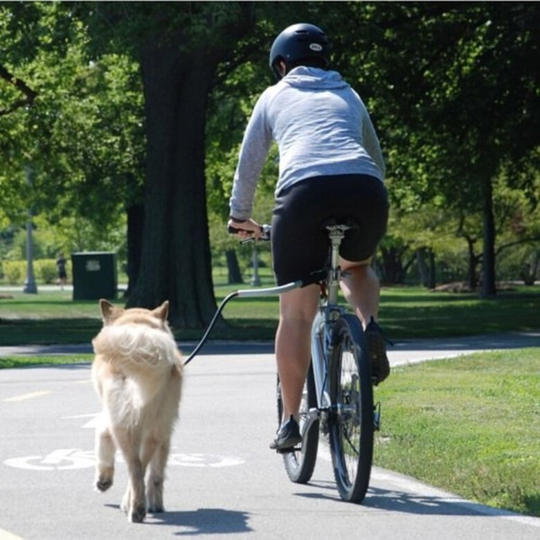 Barra universal de bicicleta Cycleash para perros color Multicolor, , large image number null