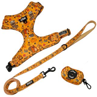 AriBabi Pack Accesorios de paseo Yosemite para Perro