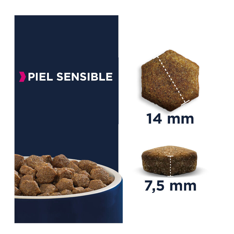 Eukanuba Adult Daily Care Sensitive Skin pienso para perros thumbnail