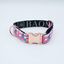 Baona collar qawra rosa para perros, , large indicador imagen numero 1