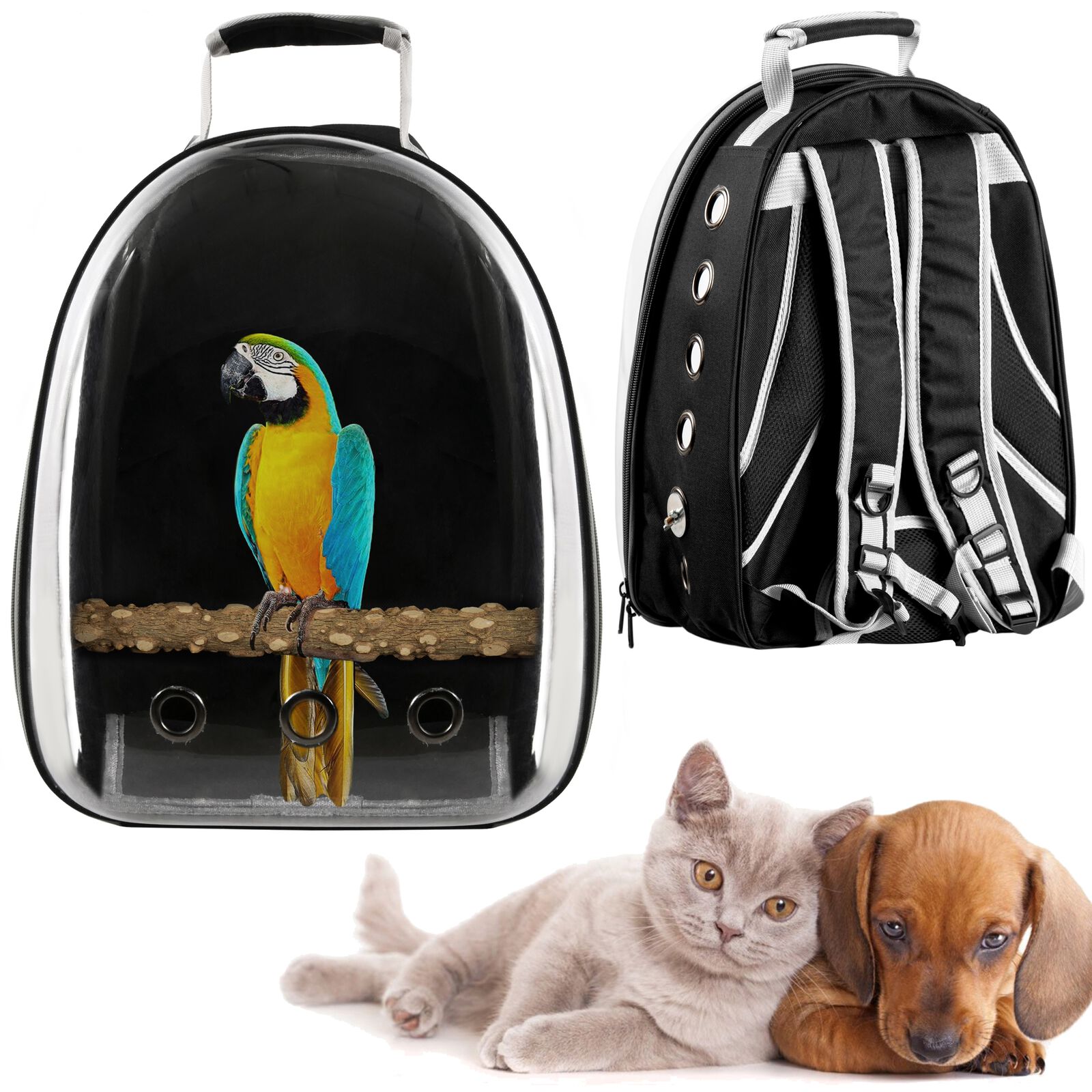Mochila para gatos kiwoko shop