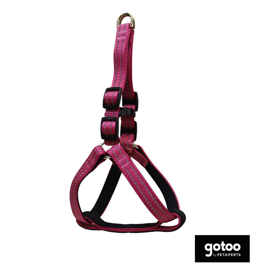 Gotoo Arn&eacute;s reflectante de neopreno rosa para perros, , large Imagen numero 2