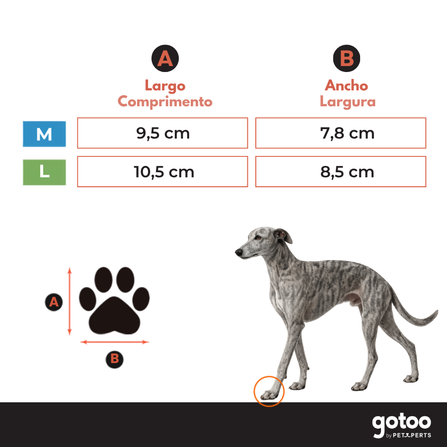 Gotoo Zapatos Rojo y Negro para galgos, , large Imagen numero 5