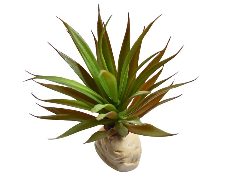 Reptilhábitat Planta Ananas De Decoración Para Terrarios thumbnail
