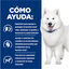 354 g Hill's Prescription Diet Kidney k/d +  Mobility j/d estofado pollo y verduras lata para perros, , large indicador imagen numero 3
