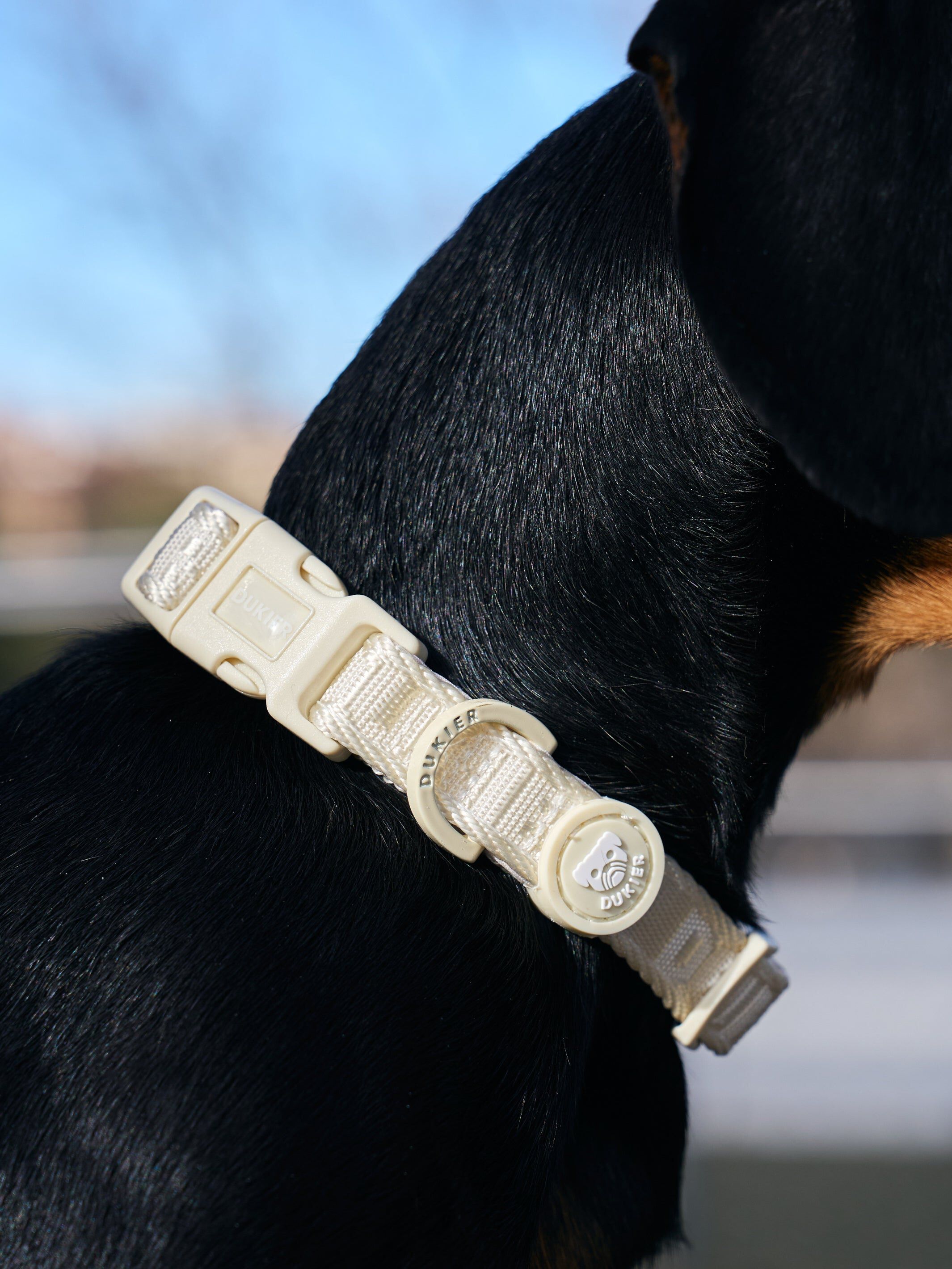 Collar Beige (Essentials) M, , large Imagen numero 2