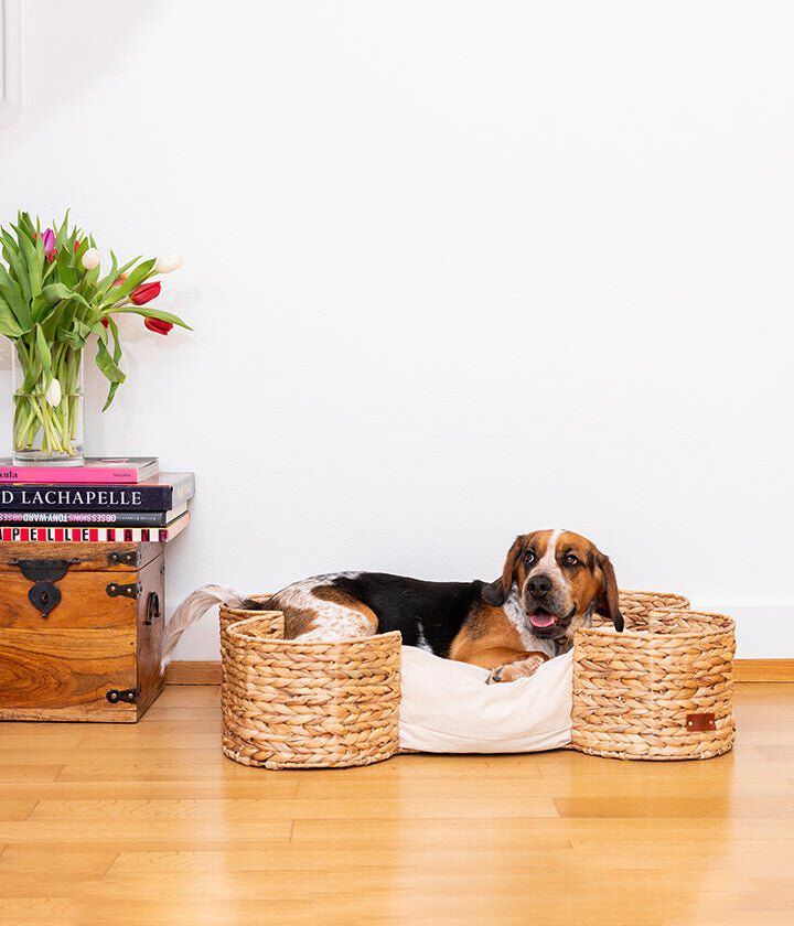 Pet and Co Cama Bongo Nature para Perros y Gatos, , large Imagen numero 4