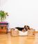Pet and Co Cama Bongo Nature para Perros y Gatos, , large indicador imagen numero 4