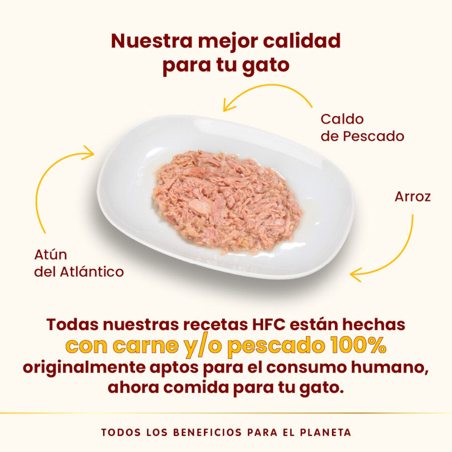 70 g Almo Nature HFC at&uacute;n del Atl&aacute;ntico lata para gatos , , large Imagen numero 3
