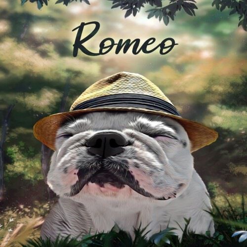 Mascochula paradise retrato realista personalizado en digital con tu mascota thumbnail