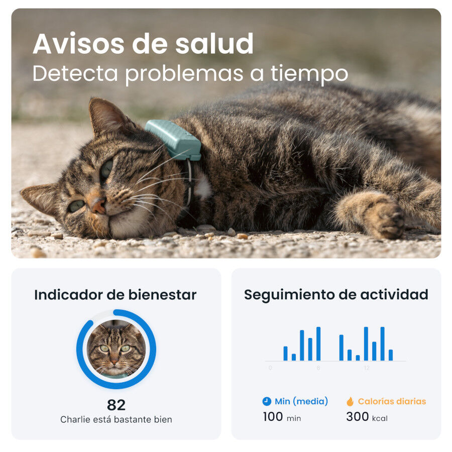 Tractive Cat Mini Localizador GPS Menta para gatos thumbnail
