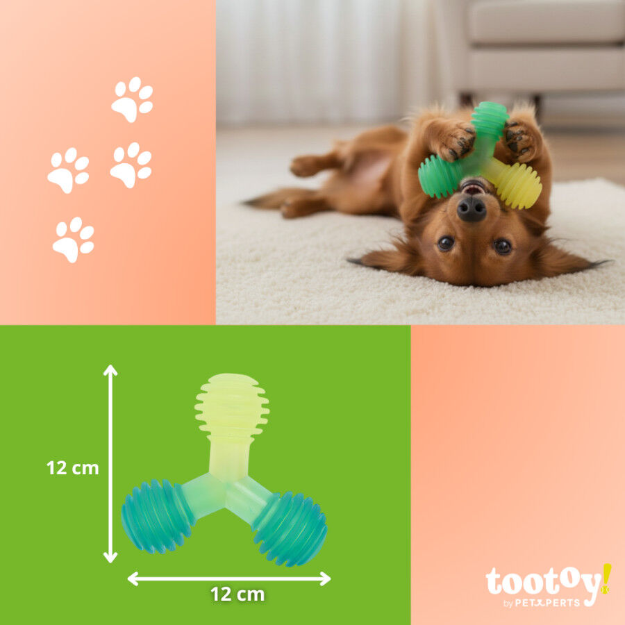 Tootoy! Mordedor de Pelotas en Tri&aacute;ngulo Verde para perros, , large Imagen numero 4