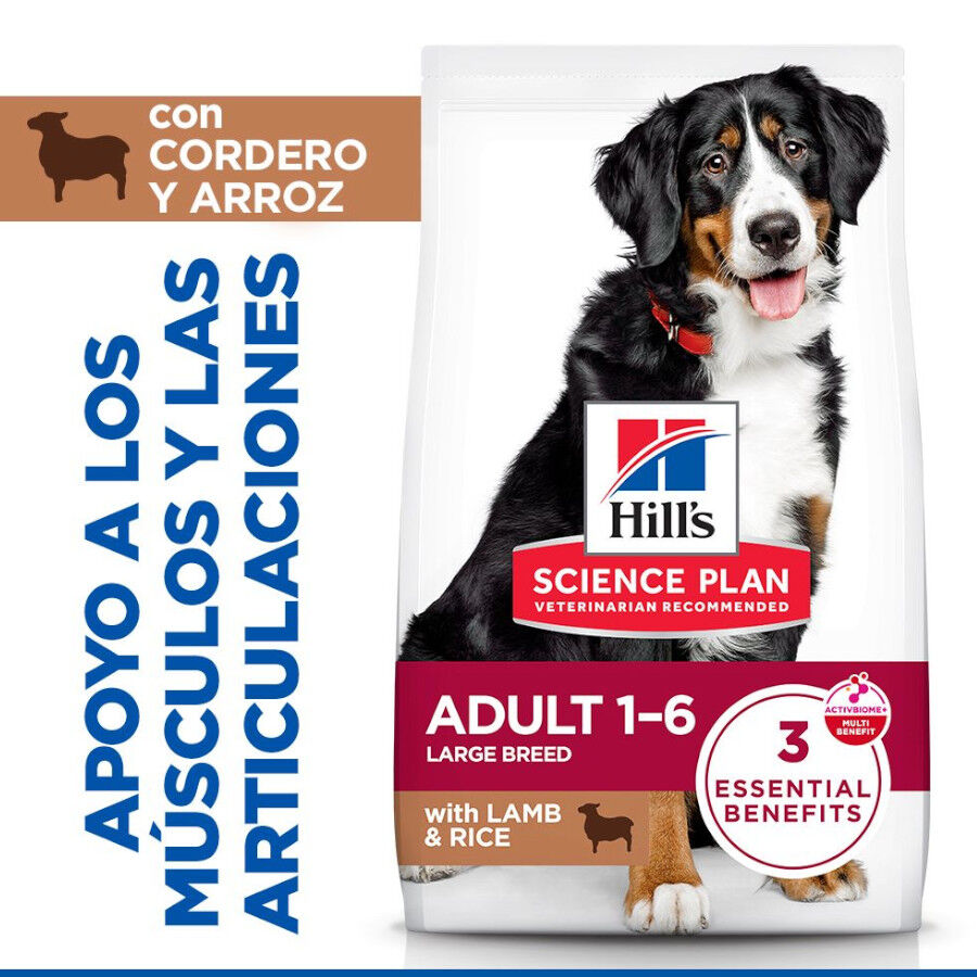 2 x 14 kg Hill's Science Plan Adult Large Cordero pienso para perros &iexcl;Pack ahorro!, , large Imagen numero 2