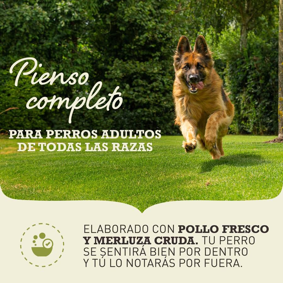 Acana Sport &amp; Agility pienso para perros thumbnail