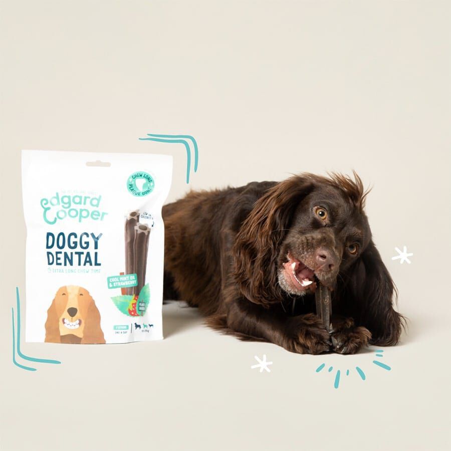 Edgard &amp; Cooper Small Snacks Dentales Fresa y Menta para perros thumbnail