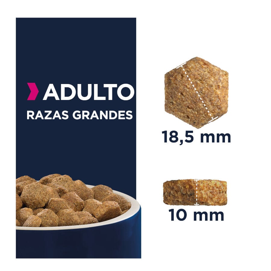 Eukanuba Adult Large Pollo pienso para perros thumbnail