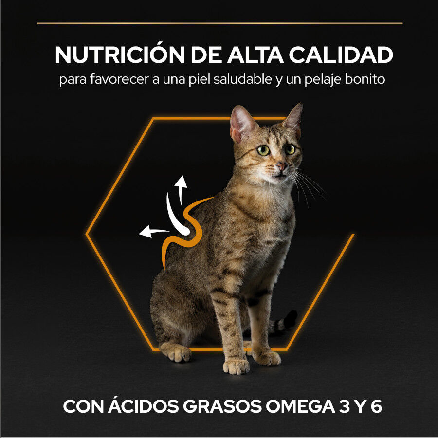Pro Plan Adult OptiDerma Salmón pienso para gatos thumbnail