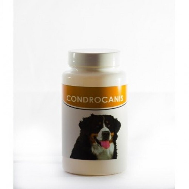 Condroprotector para perros Cloel Condrocanis, , large image number null