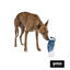 Gotoo Botella Bebedero Port&aacute;til de Silicona Azul para perros y gatos, , large indicador imagen numero 7