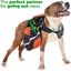 Edipets correa extensible ajustable rosa para perros, , large indicador imagen numero 6