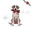 Wonder Christmas Perro Salchicha XL Peluche para perros, , large indicador imagen numero 1
